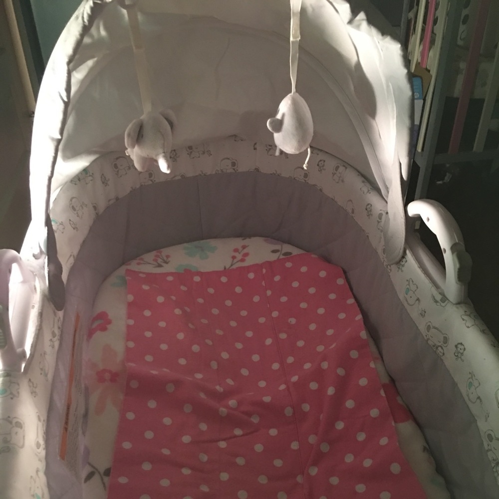 Deluxe mosses bassinet with bedding